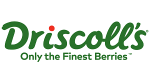 Driscoll