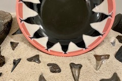 "Megalodon Bite"